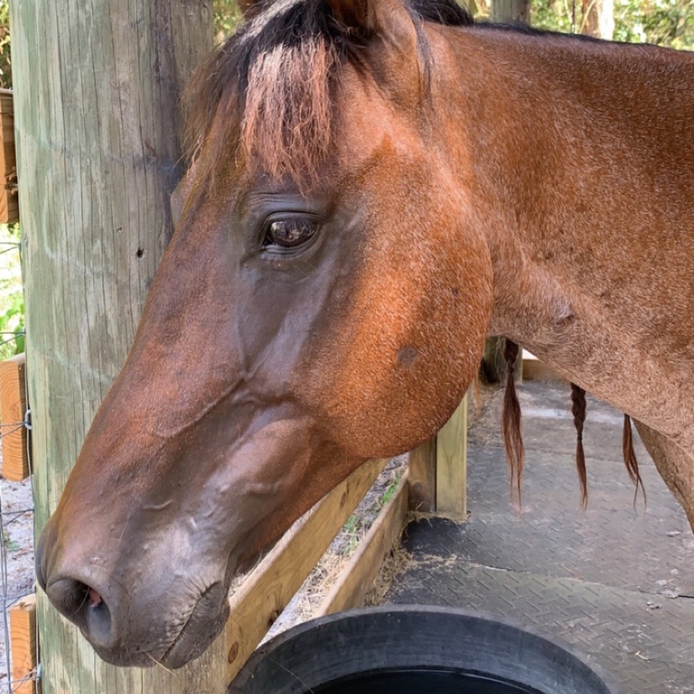 Meet your Posher, Alexandra